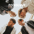 Luna Bay - Foxglove (Direct Radio Promotions Ltd)